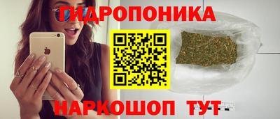 гидра Краснодар