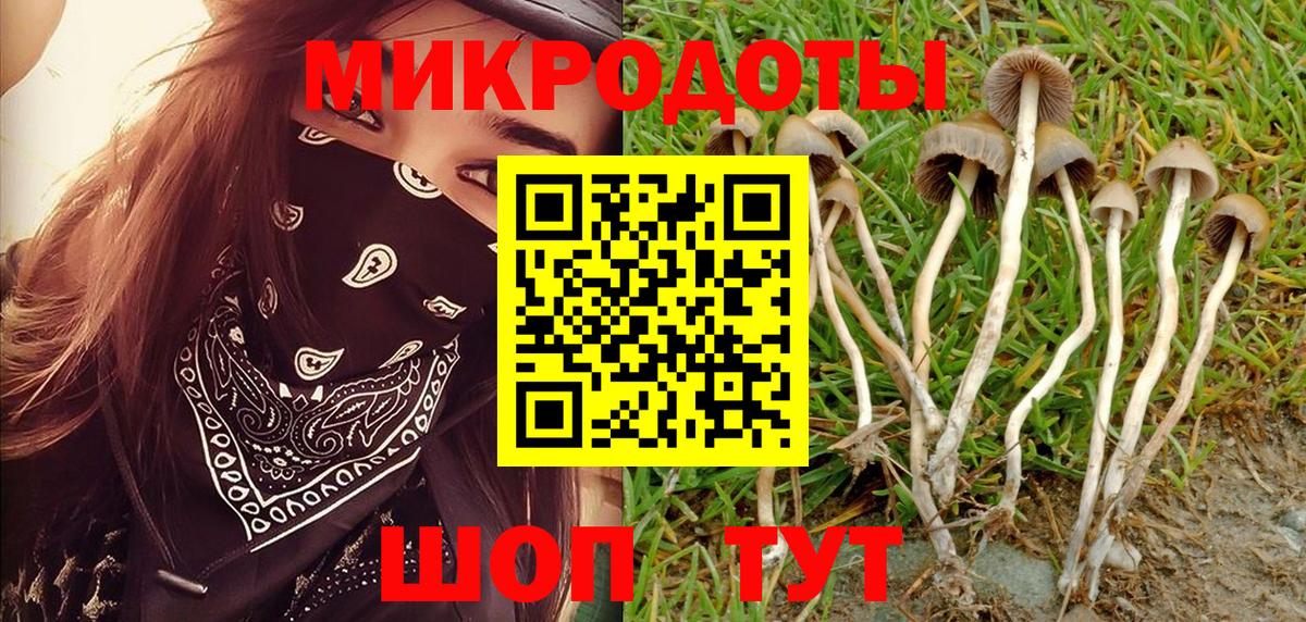 Ялуторовск  Галлюциногенные грибы мицелий  Вход с VPN 